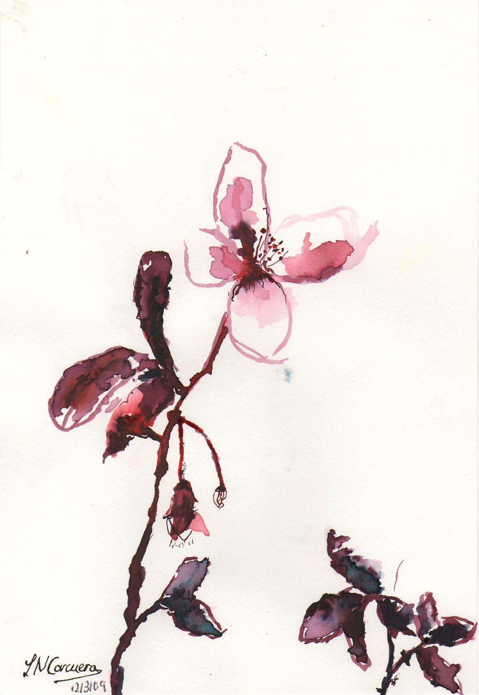 Apunte de flor