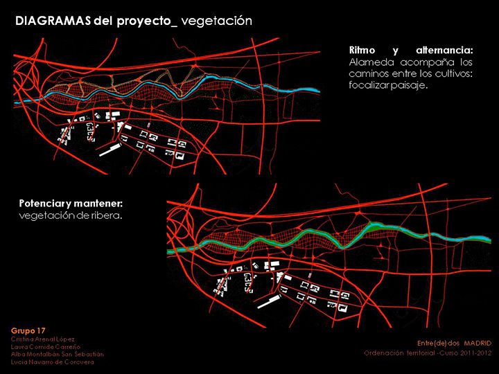 Vegetación