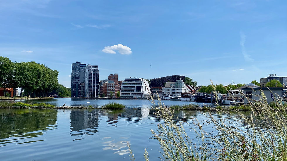 ben sansen turnhout.jpeg