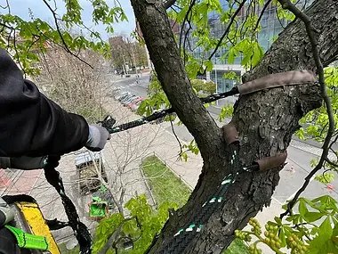 WhatsApp Image 2023-03-06 at 18_59_24 (2).jpeg.webp