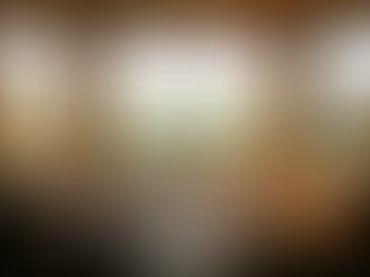 The Velocity Surge: Why Commingling Capital Destroys Financial Sovereignty