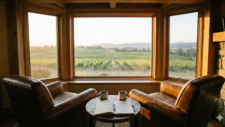two chairs overlooking a calm vineyard