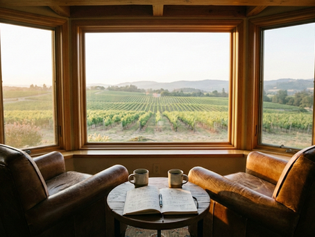 The Velocity Surge: Why Commingling Capital Destroys Financial Sovereignty