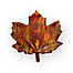 chocolate maple leaf
