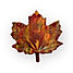 chocolate maple leaf