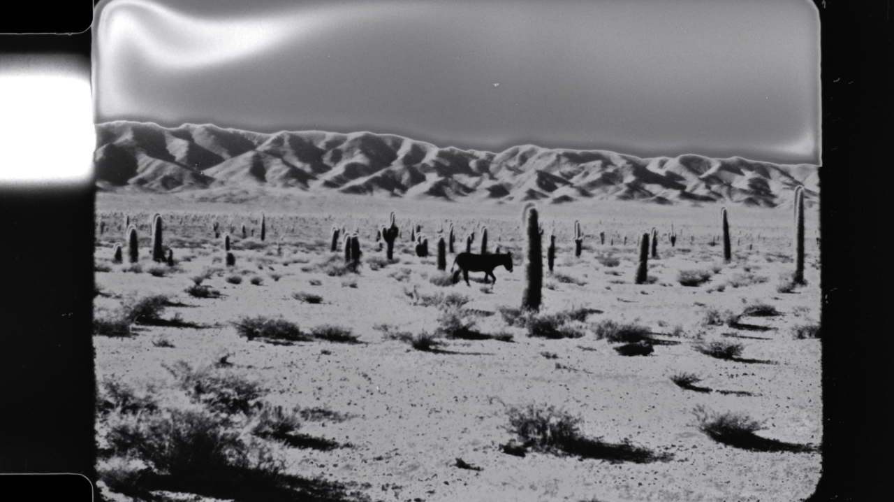 Argentina Desert Series (John Price)