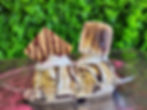 Specialty Sundaes image