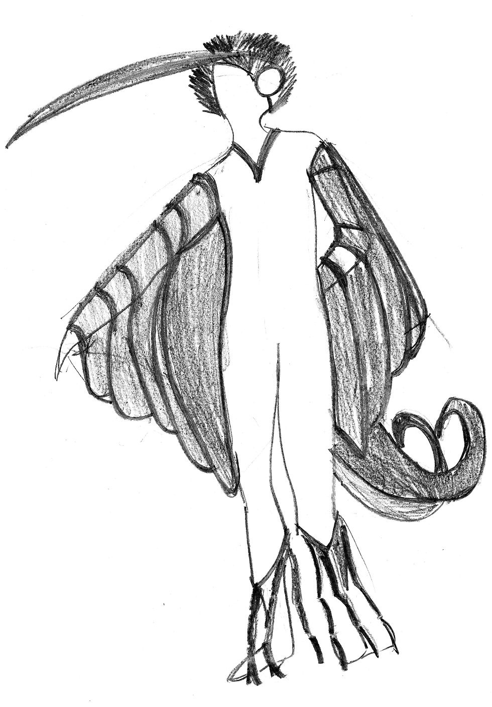 Bird's custom (front)