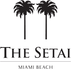 setai_logo.gif