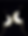 cats-4945658_1280.png