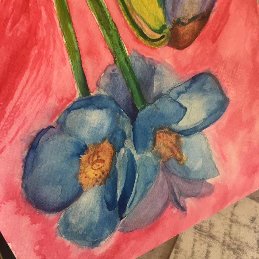 Peinture/dessin adulte