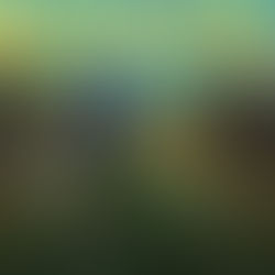 Ohrwurm der Woche- Sean Paul - "Faith We A Keep"