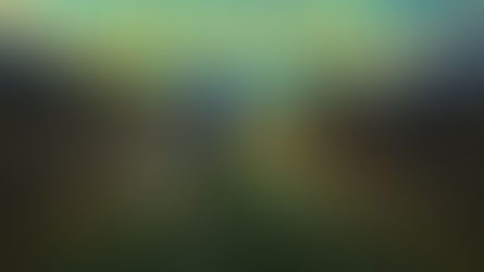 Ohrwurm der Woche- Sean Paul - "Faith We A Keep"