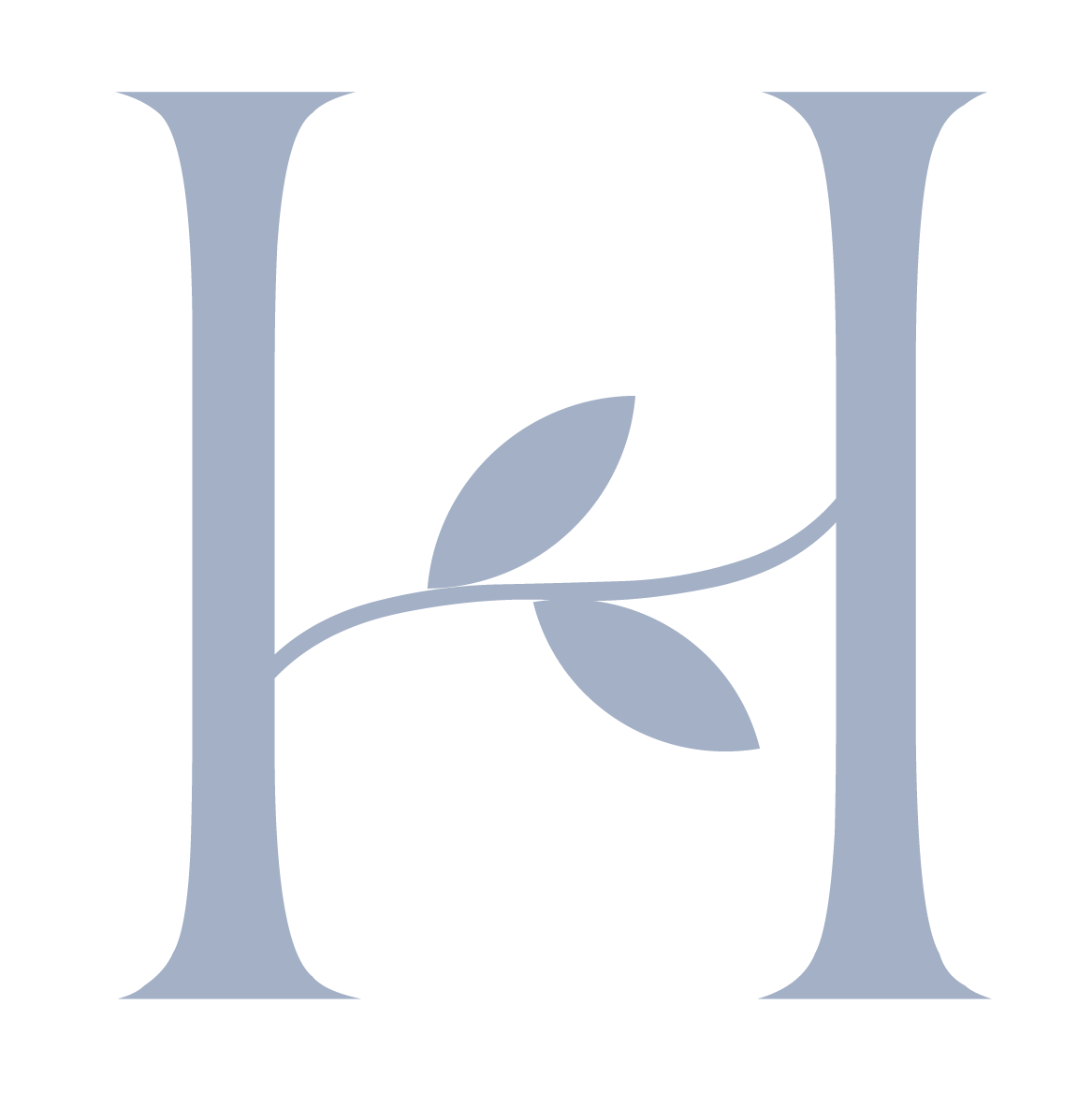 Writer: The Haven Team