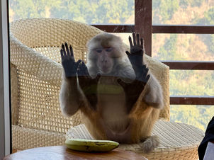 India Pt 3, 02 - 16 Jan '26