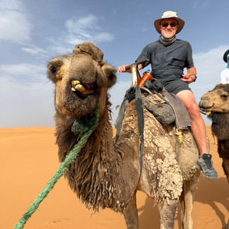 I had the mangiest snaggle-tooth came in the desert