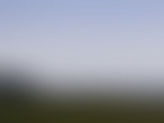 Republic of Ireland 08-27 March, 2025