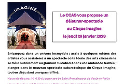Affiche cirque CCAS_edited.jpg