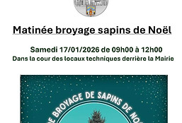Matinée broyage sapins de Noël_edited.jp