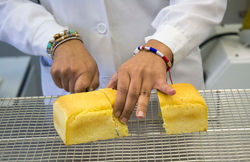 DOCUMENTAL LA PILDORA MAS DESEADA ©Objetivo Family Films