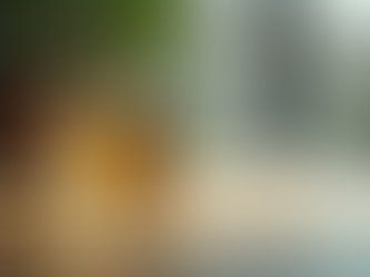 Unlocking the Secrets of Perfumery Grade Ethyl Alcohol for Flawless Fragrance Creation