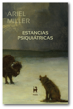 Portada - Estancias psiquiátricas (sombreado).png