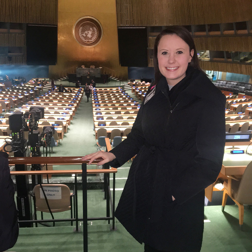 Visiting the United Nations