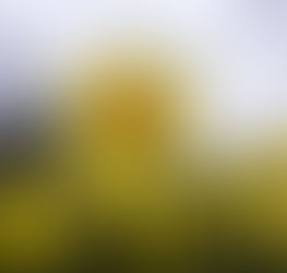 Having Faith In the Unseen