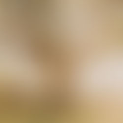 Its not about the goal. Its about who you become in the process.