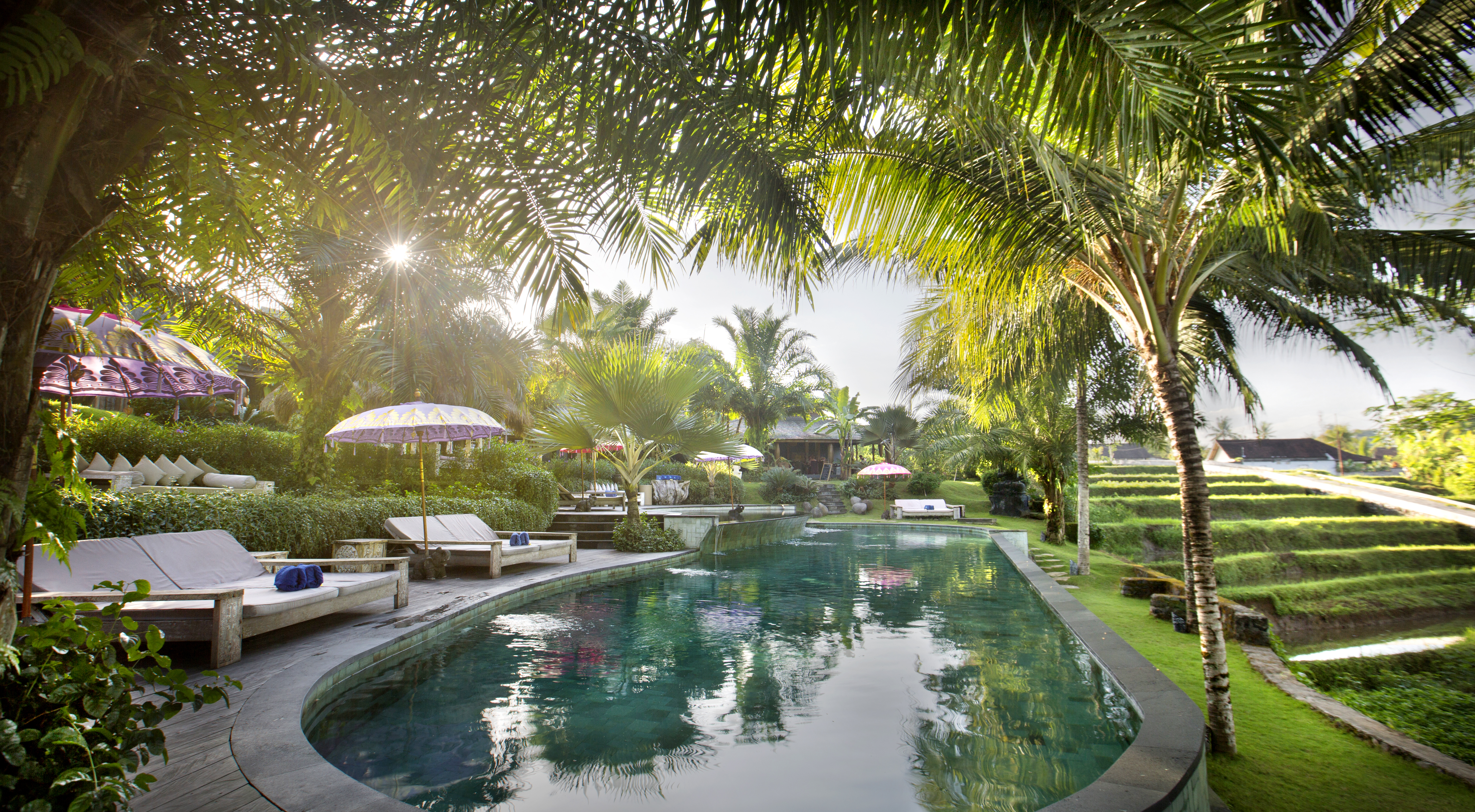 Swimming Pool (2)