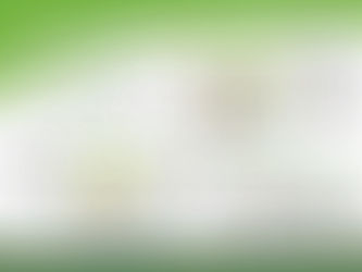 First City University College: Project:  Year 1 - Year 3