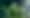 Bud Banner_edited.jpg