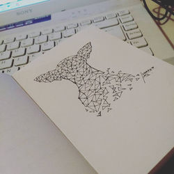 14695461_10210438494139432_8218381910402252056_n