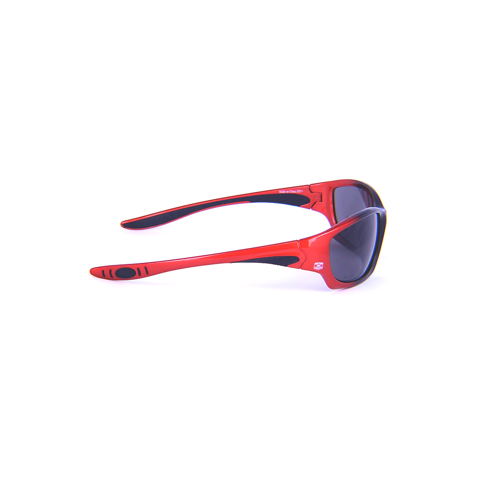 Thumbnail: X5O03 SAFETY GLASSES