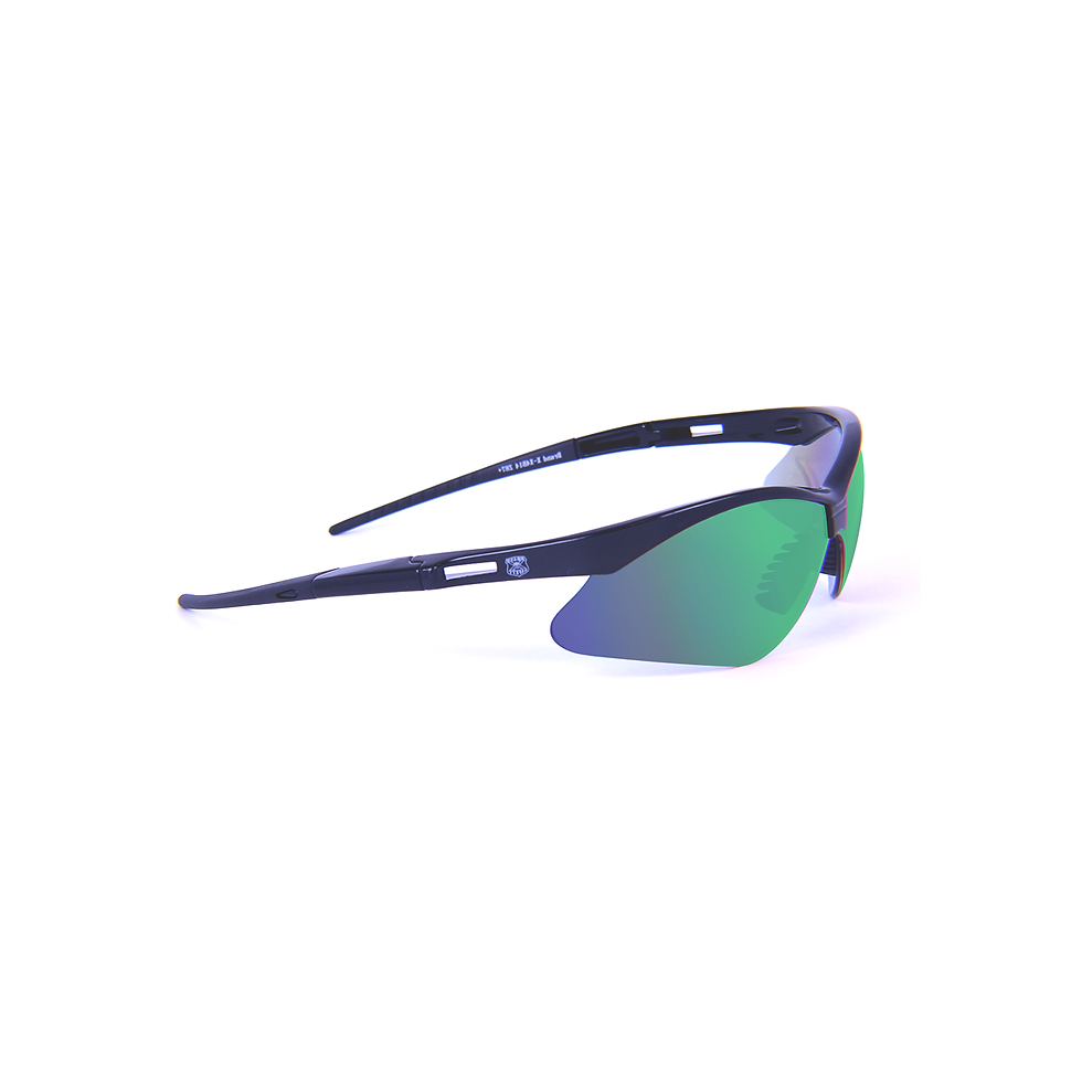 Thumbnail: X4B14  SAFETY GLASSES