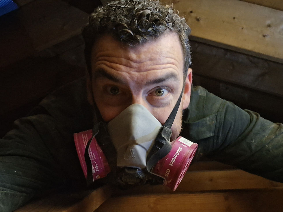 Attic crawling...