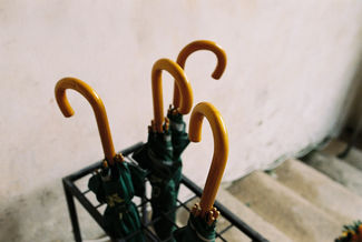 Ingenuity and Design