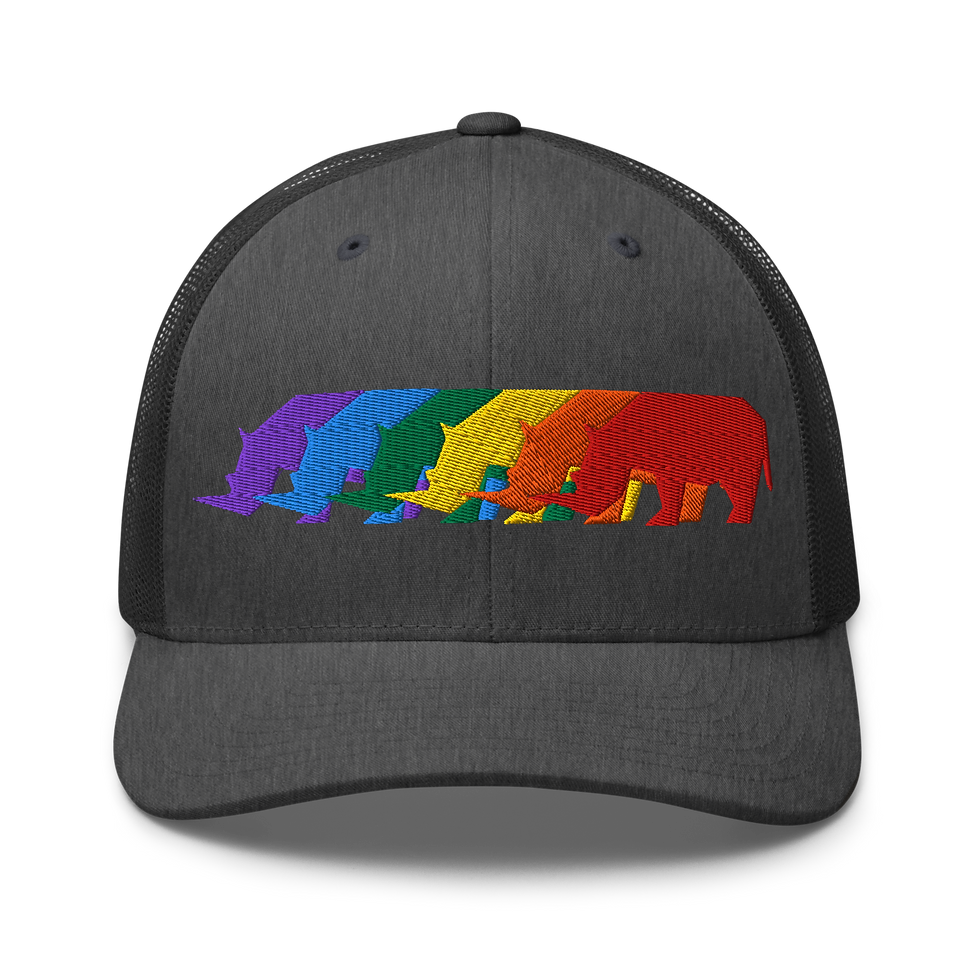 Thumbnail: RMBL Rainbow Trucker Hat