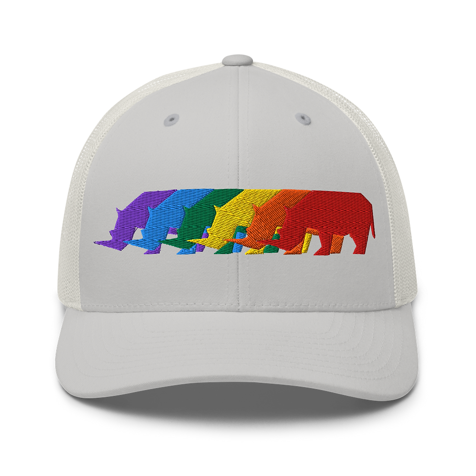 Thumbnail: RMBL Rainbow Trucker Hat