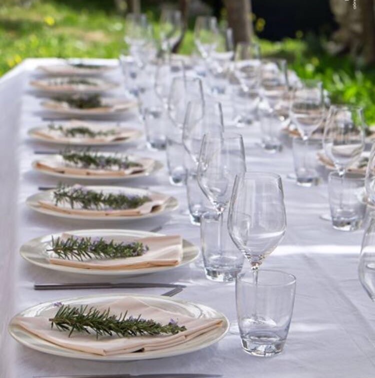 Day Trip to a Local Winery