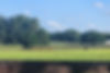 imagejpeg_0_edited.jpg