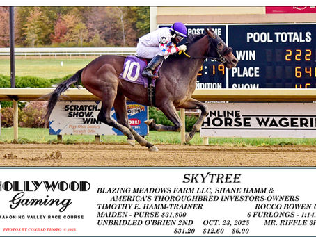 Congratulations to all Connections!