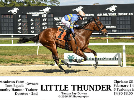 Congratulations to all Connections!