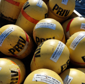 MLA buoys-2026.png