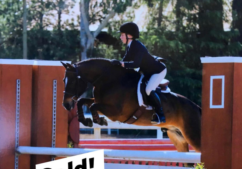 JB Sport Horses, For Sale, Loomis, CA