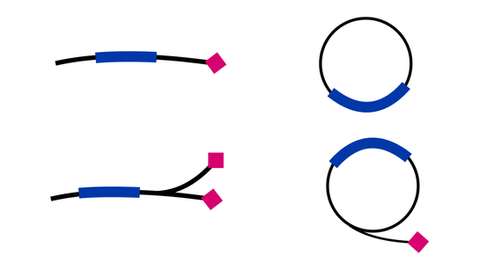 Playing with LEGO to improve mRNA efficiency - Tides Global