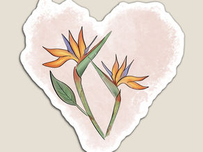 Bloom into Love: Cherishing the Beauty of Springtime and Letting Our Souls Blossom