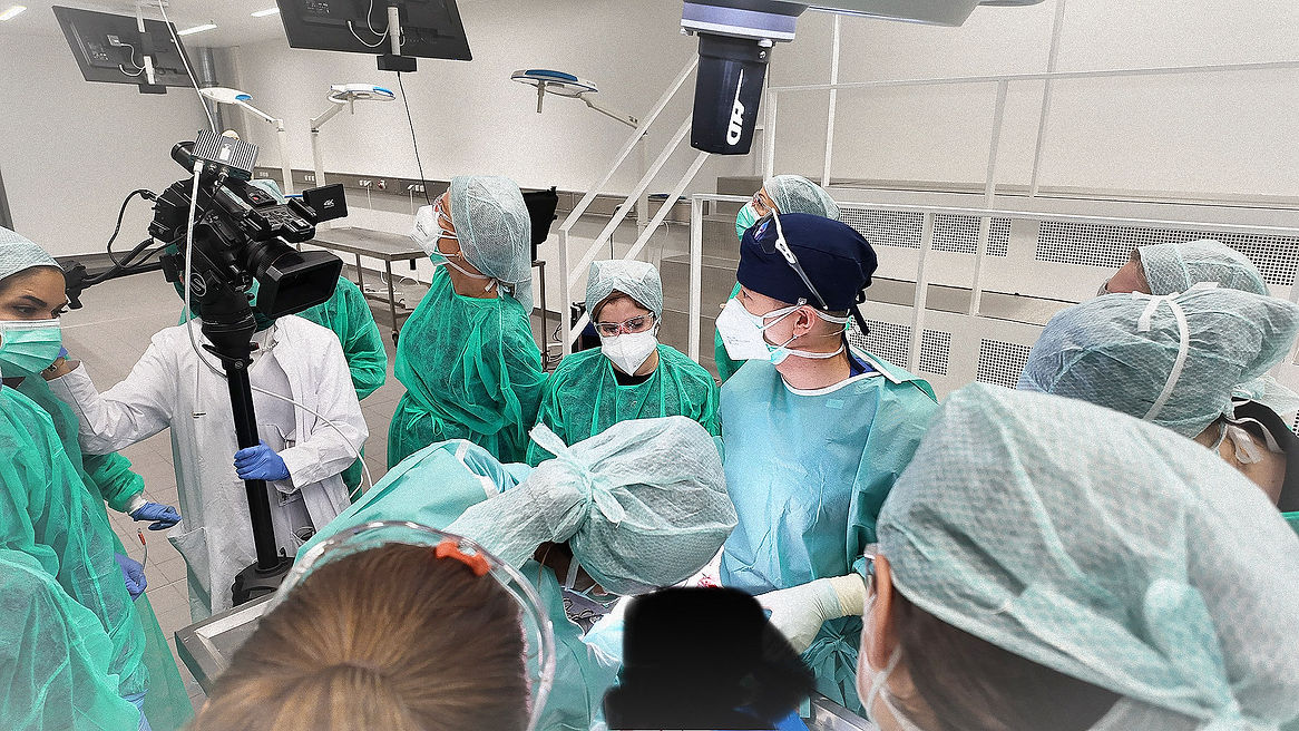 Physicians observing real human anatomy during cadaver dissection training