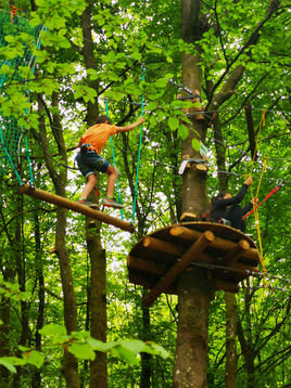 accrobranche bertrix ardenne activité famille entreprise groupes