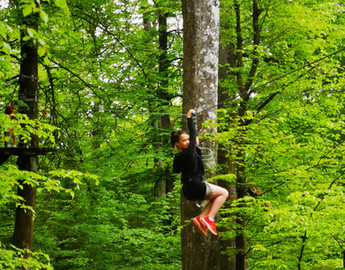 journée scolaire accrobranche pour écoles ardenne belgique bertrix